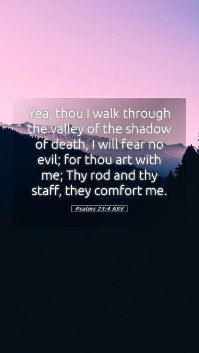 Picture 05 - Psalms 23:4 ASV Mobile Phone Wallpaper - Yea, thou I walk through the valley of the shadow - Mobile Bible Verse Wallpaper