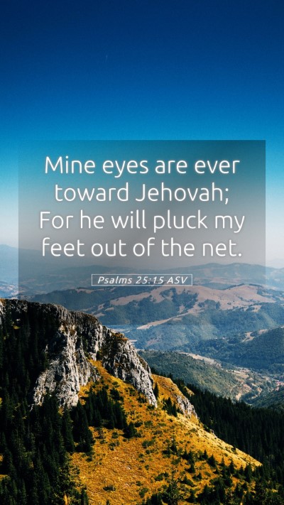 Picture 05 - Psalms 25:15 ASV Mobile Phone Wallpaper - Mine eyes are ever toward Jehovah; For he will - Mobile Bible Verse Wallpaper