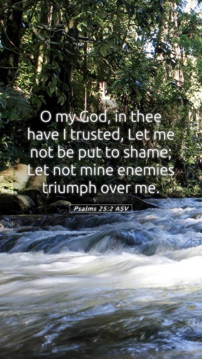 Picture 05 - Psalms 25:2 ASV Mobile Phone Wallpaper - O my God, in thee have I trusted, Let me not be - Mobile Bible Verse Wallpaper