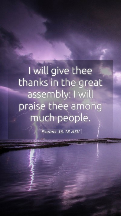 Picture 05 - Psalms 35:18 ASV Mobile Phone Wallpaper - I will give thee thanks in the great assembly: I - Mobile Bible Verse Wallpaper