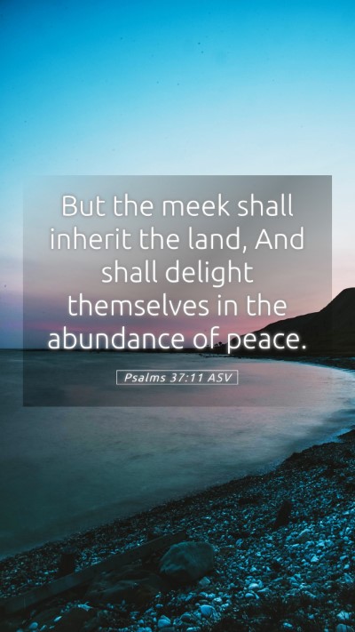 Picture 05 - Psalms 37:11 ASV Mobile Phone Wallpaper - But the meek shall inherit the land, And shall - Mobile Bible Verse Wallpaper