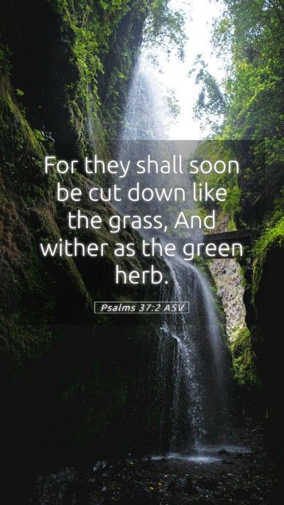 Picture 05 - Psalms 37:2 ASV Mobile Phone Wallpaper - For they shall soon be cut down like the grass, - Mobile Bible Verse Wallpaper