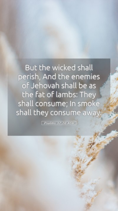 Picture 05 - Psalms 37:20 ASV Mobile Phone Wallpaper - But the wicked shall perish, And the enemies of - Mobile Bible Verse Wallpaper