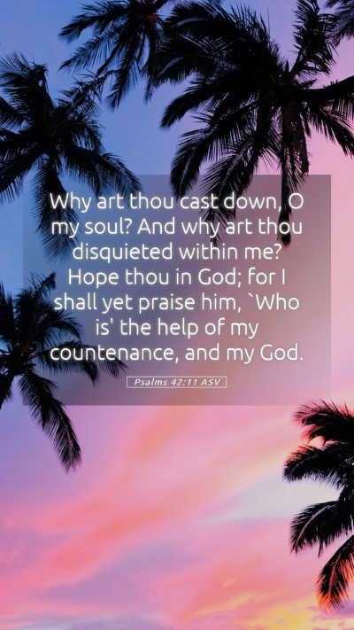 Picture 05 - Psalms 42:11 ASV Mobile Phone Wallpaper - Why art thou cast down, O my soul? And why art - Mobile Bible Verse Wallpaper