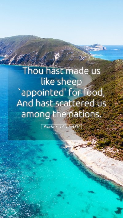 Picture 05 - Psalms 44:11 ASV Mobile Phone Wallpaper - Thou hast made us like sheep `appointed' for - Mobile Bible Verse Wallpaper