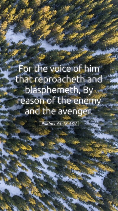 Picture 05 - Psalms 44:16 ASV Mobile Phone Wallpaper - For the voice of him that reproacheth and - Mobile Bible Verse Wallpaper
