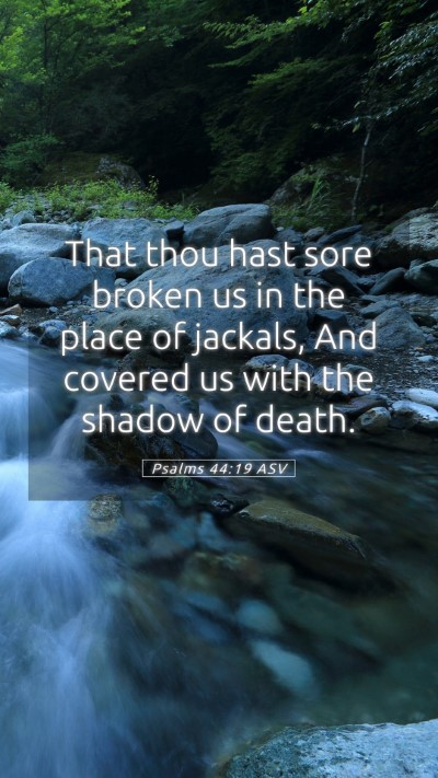 Picture 05 - Psalms 44:19 ASV Mobile Phone Wallpaper - That thou hast sore broken us in the place of - Mobile Bible Verse Wallpaper
