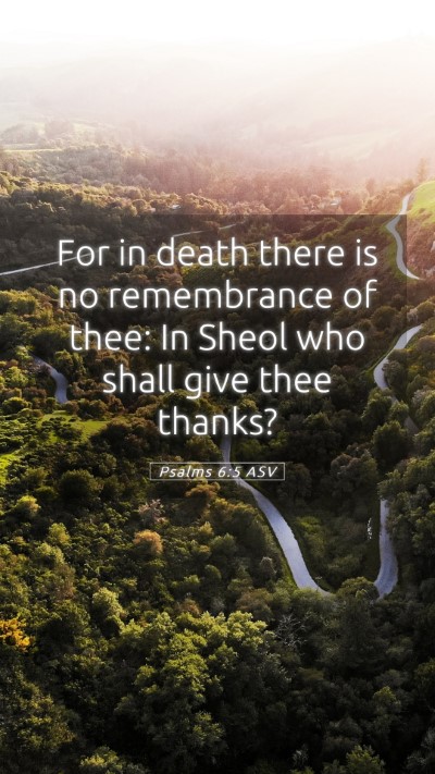 Picture 05 - Psalms 6:5 ASV Mobile Phone Wallpaper - For in death there is no remembrance of thee: In - Mobile Bible Verse Wallpaper