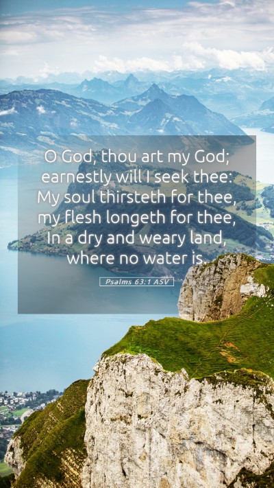 Picture 05 - Psalms 63:1 ASV Mobile Phone Wallpaper - O God, thou art my God; earnestly will I seek - Mobile Bible Verse Wallpaper