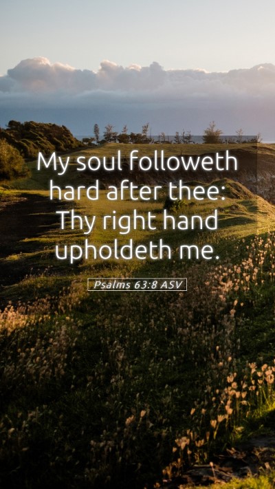 Picture 05 - Psalms 63:8 ASV Mobile Phone Wallpaper - My soul followeth hard after thee: Thy right hand - Mobile Bible Verse Wallpaper