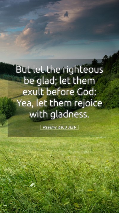 Picture 05 - Psalms 68:3 ASV Mobile Phone Wallpaper - But let the righteous be glad; let them exult - Mobile Bible Verse Wallpaper