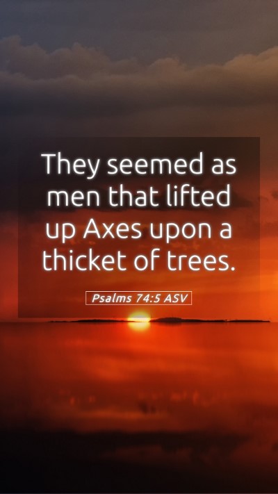 Picture 05 - Psalms 74:5 ASV Mobile Phone Wallpaper - They seemed as men that lifted up Axes upon a - Mobile Bible Verse Wallpaper