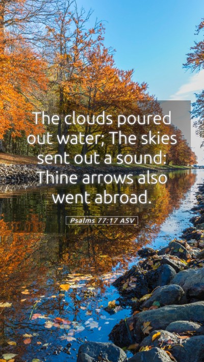 Picture 05 - Psalms 77:17 ASV Mobile Phone Wallpaper - The clouds poured out water; The skies sent out a - Mobile Bible Verse Wallpaper