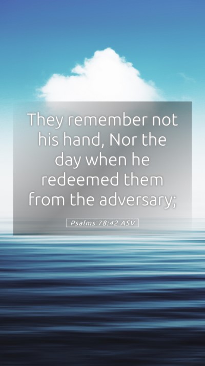 Picture 05 - Psalms 78:42 ASV Mobile Phone Wallpaper - They remember not his hand, Nor the day when he - Mobile Bible Verse Wallpaper