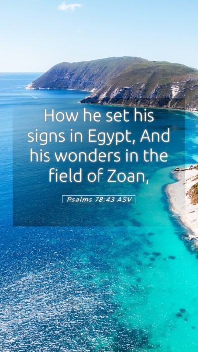 Picture 05 - Psalms 78:43 ASV Mobile Phone Wallpaper - How he set his signs in Egypt, And his wonders in - Mobile Bible Verse Wallpaper