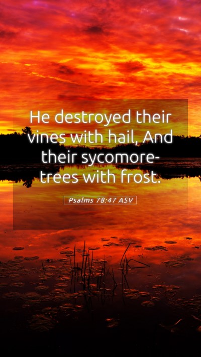 Picture 05 - Psalms 78:47 ASV Mobile Phone Wallpaper - He destroyed their vines with hail, And their - Mobile Bible Verse Wallpaper