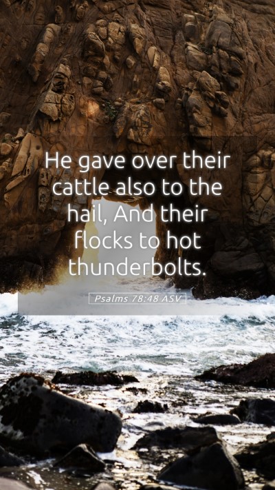 Picture 05 - Psalms 78:48 ASV Mobile Phone Wallpaper - He gave over their cattle also to the hail, And - Mobile Bible Verse Wallpaper