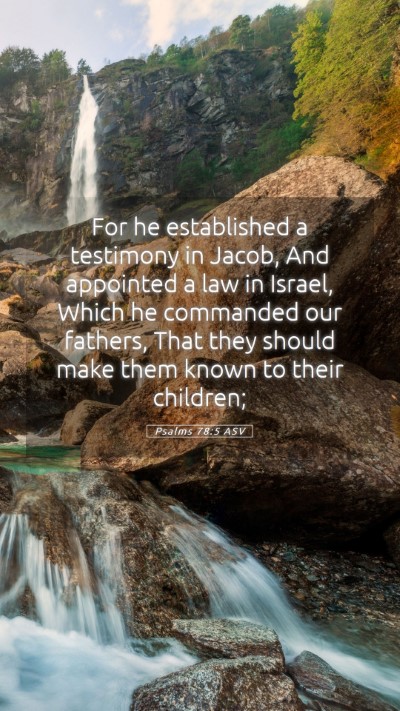 Picture 05 - Psalms 78:5 ASV Mobile Phone Wallpaper - For he established a testimony in Jacob, And - Mobile Bible Verse Wallpaper