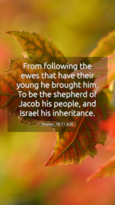 Picture 05 - Psalms 78:71 ASV Mobile Phone Wallpaper - From following the ewes that have their young he - Mobile Bible Verse Wallpaper