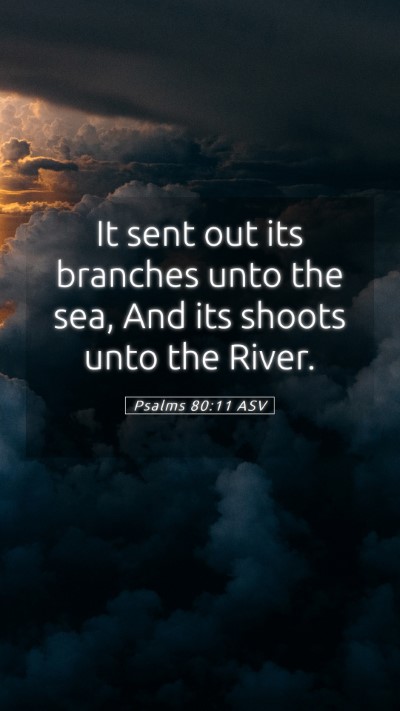 Picture 05 - Psalms 80:11 ASV Mobile Phone Wallpaper - It sent out its branches unto the sea, And its - Mobile Bible Verse Wallpaper