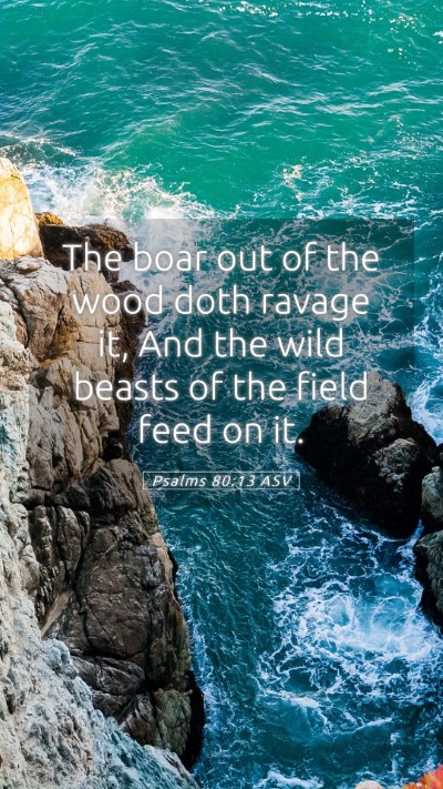 Picture 05 - Psalms 80:13 ASV Mobile Phone Wallpaper - The boar out of the wood doth ravage it, And the - Mobile Bible Verse Wallpaper