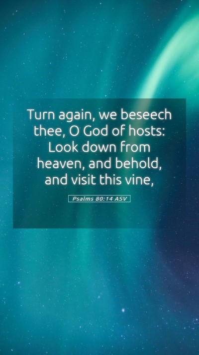 Picture 05 - Psalms 80:14 ASV Mobile Phone Wallpaper - Turn again, we beseech thee, O God of hosts: Look - Mobile Bible Verse Wallpaper