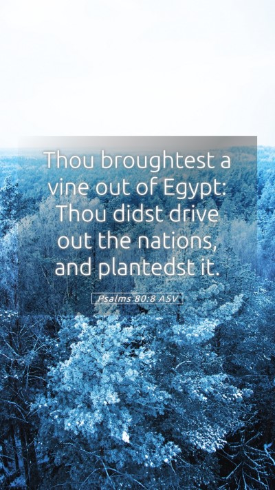 Picture 05 - Psalms 80:8 ASV Mobile Phone Wallpaper - Thou broughtest a vine out of Egypt: Thou didst - Mobile Bible Verse Wallpaper