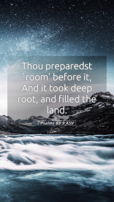 Picture 05 - Psalms 80:9 ASV Mobile Phone Wallpaper - Thou preparedst `room' before it, And it took - Mobile Bible Verse Wallpaper