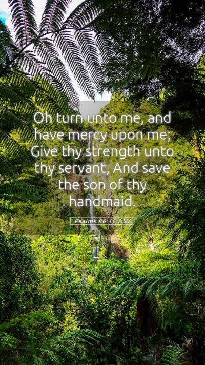 Picture 05 - Psalms 86:16 ASV Mobile Phone Wallpaper - Oh turn unto me, and have mercy upon me; Give thy - Mobile Bible Verse Wallpaper
