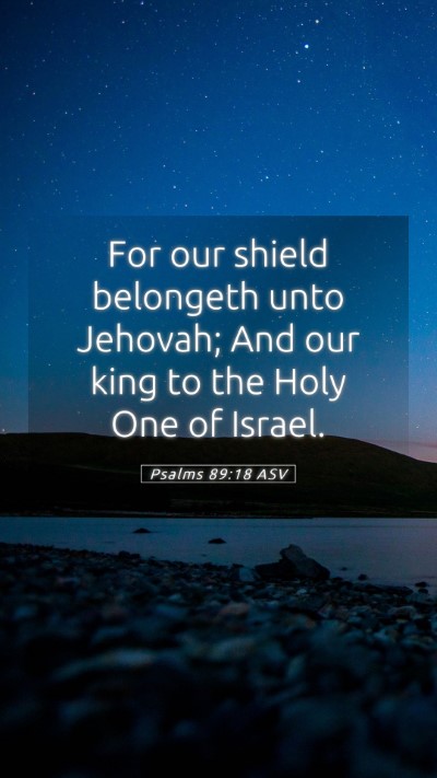 Picture 05 - Psalms 89:18 ASV Mobile Phone Wallpaper - For our shield belongeth unto Jehovah; And our - Mobile Bible Verse Wallpaper