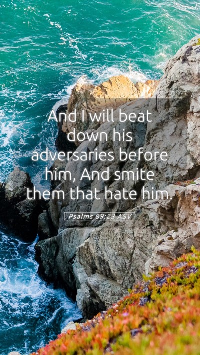Picture 05 - Psalms 89:23 ASV Mobile Phone Wallpaper - And I will beat down his adversaries before him, - Mobile Bible Verse Wallpaper