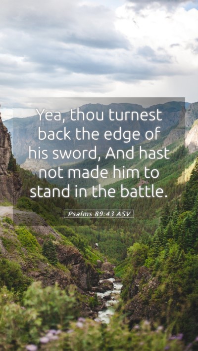 Picture 05 - Psalms 89:43 ASV Mobile Phone Wallpaper - Yea, thou turnest back the edge of his sword, And - Mobile Bible Verse Wallpaper