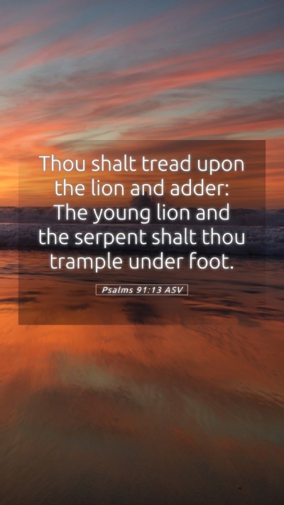Picture 05 - Psalms 91:13 ASV Mobile Phone Wallpaper - Thou shalt tread upon the lion and adder: The - Mobile Bible Verse Wallpaper