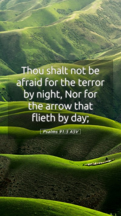 Picture 05 - Psalms 91:5 ASV Mobile Phone Wallpaper - Thou shalt not be afraid for the terror by night, - Mobile Bible Verse Wallpaper