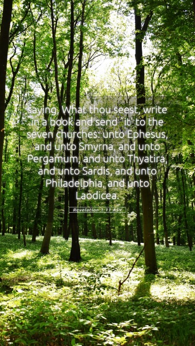 Picture 05 - Revelation 1:11 ASV Mobile Phone Wallpaper - saying, What thou seest, write in a book and send - Mobile Bible Verse Wallpaper