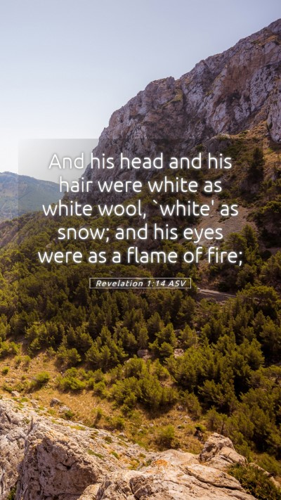 Picture 05 - Revelation 1:14 ASV Mobile Phone Wallpaper - And his head and his hair were white as white - Mobile Bible Verse Wallpaper