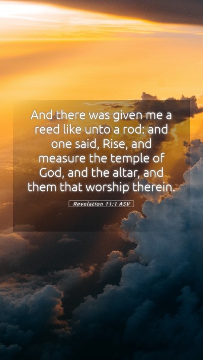 Picture 05 - Revelation 11:1 ASV Mobile Phone Wallpaper - And there was given me a reed like unto a rod: - Mobile Bible Verse Wallpaper