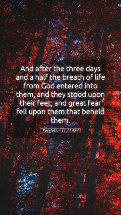 Picture 05 - Revelation 11:11 ASV Mobile Phone Wallpaper - And after the three days and a half the breath of - Mobile Bible Verse Wallpaper