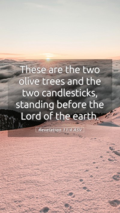 Picture 05 - Revelation 11:4 ASV Mobile Phone Wallpaper - These are the two olive trees and the two - Mobile Bible Verse Wallpaper