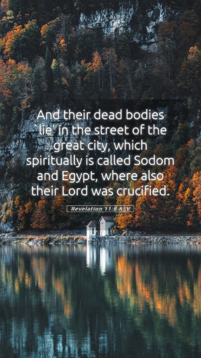 Picture 05 - Revelation 11:8 ASV Mobile Phone Wallpaper - And their dead bodies `lie' in the street of the - Mobile Bible Verse Wallpaper