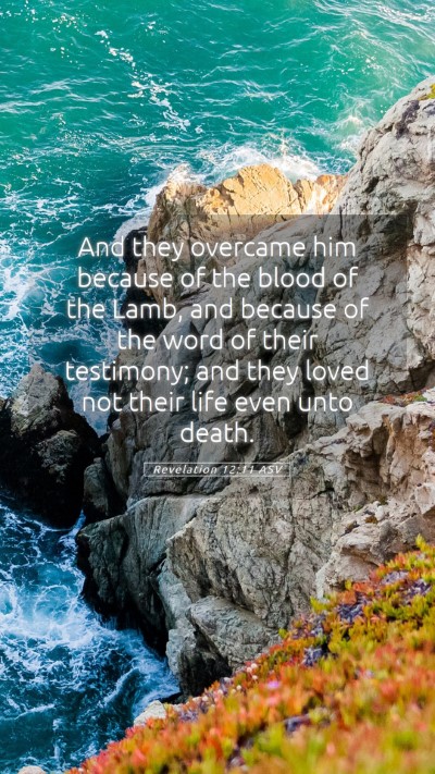 Picture 05 - Revelation 12:11 ASV Mobile Phone Wallpaper - And they overcame him because of the blood of the - Mobile Bible Verse Wallpaper