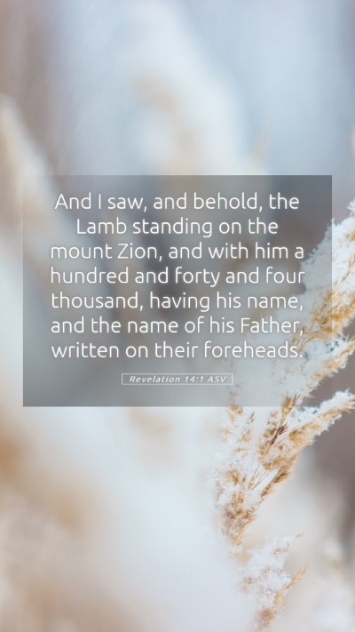 Picture 05 - Revelation 14:1 ASV Mobile Phone Wallpaper - And I saw, and behold, the Lamb standing on the - Mobile Bible Verse Wallpaper