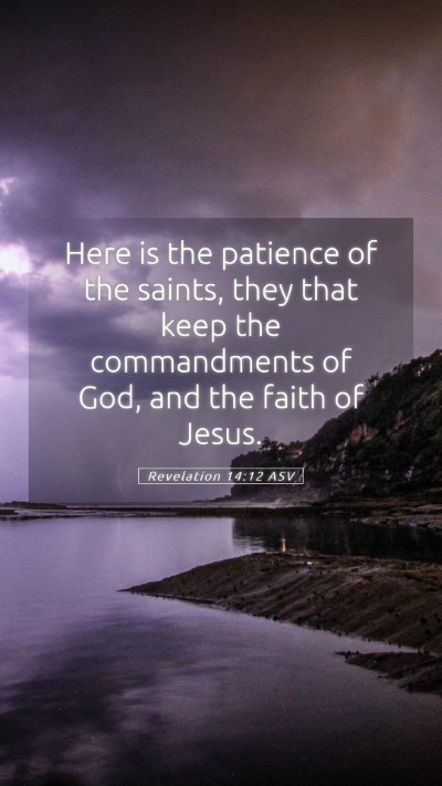Picture 05 - Revelation 14:12 ASV Mobile Phone Wallpaper - Here is the patience of the saints, they that - Mobile Bible Verse Wallpaper