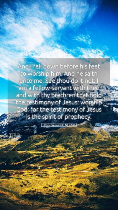 Picture 05 - Revelation 19:10 ASV Mobile Phone Wallpaper - And I fell down before his feet to worship him. - Mobile Bible Verse Wallpaper