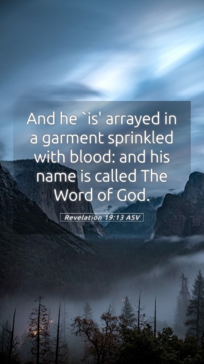 Picture 05 - Revelation 19:13 ASV Mobile Phone Wallpaper - And he `is' arrayed in a garment sprinkled with - Mobile Bible Verse Wallpaper