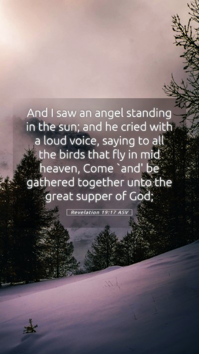 Picture 05 - Revelation 19:17 ASV Mobile Phone Wallpaper - And I saw an angel standing in the sun; and he - Mobile Bible Verse Wallpaper