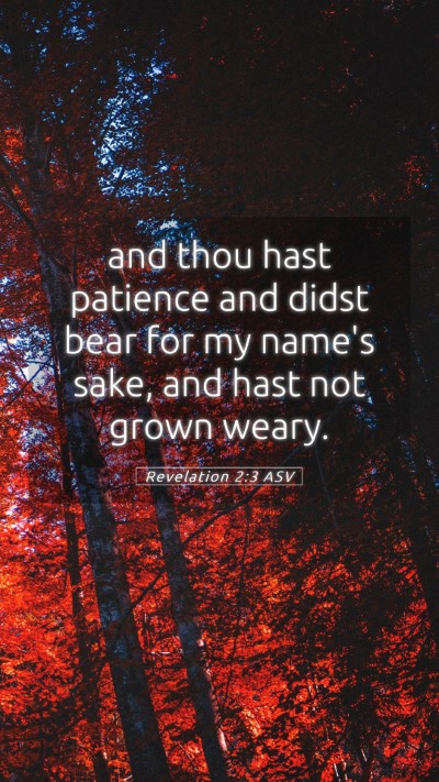 Picture 05 - Revelation 2:3 ASV Mobile Phone Wallpaper - and thou hast patience and didst bear for my - Mobile Bible Verse Wallpaper