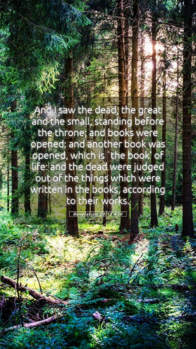 Picture 05 - Revelation 20:12 ASV Mobile Phone Wallpaper - And I saw the dead, the great and the small, - Mobile Bible Verse Wallpaper