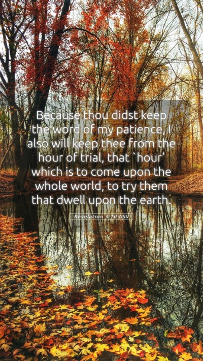 Picture 05 - Revelation 3:10 ASV Mobile Phone Wallpaper - Because thou didst keep the word of my patience, - Mobile Bible Verse Wallpaper