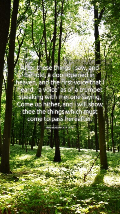 Picture 05 - Revelation 4:1 ASV Mobile Phone Wallpaper - After these things I saw, and behold, a door - Mobile Bible Verse Wallpaper